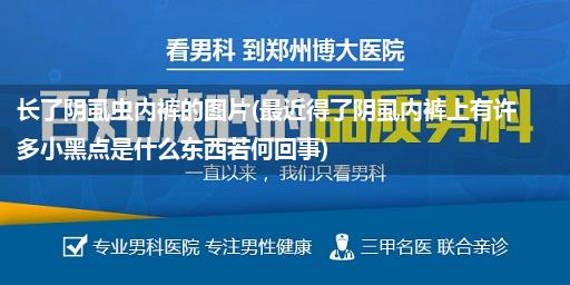 长了阴虱虫内裤的图片(最近得了阴虱内裤上有许多小黑点是什么东西若